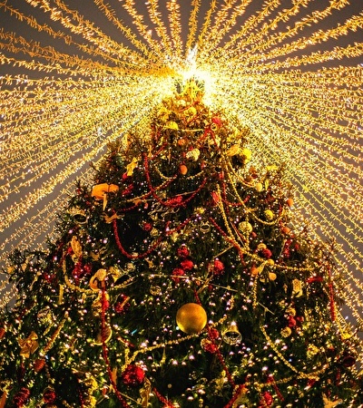 Wonderfull Christmas - 3 daags Kerstarrangement 